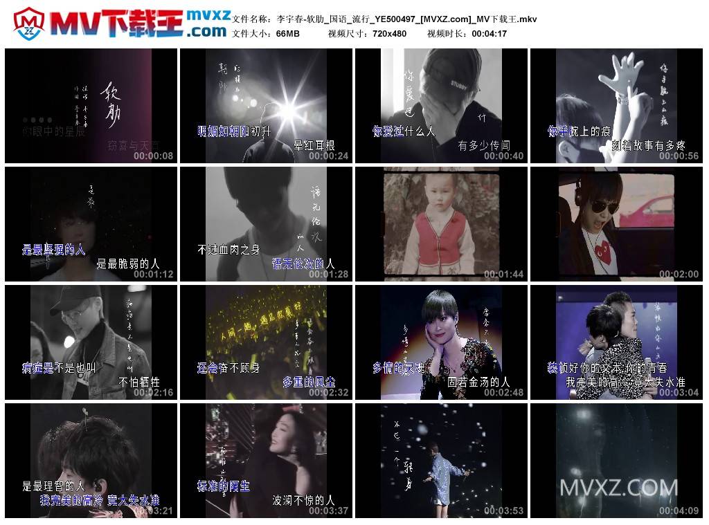 李宇春-软肋_国语_流行_YE500497